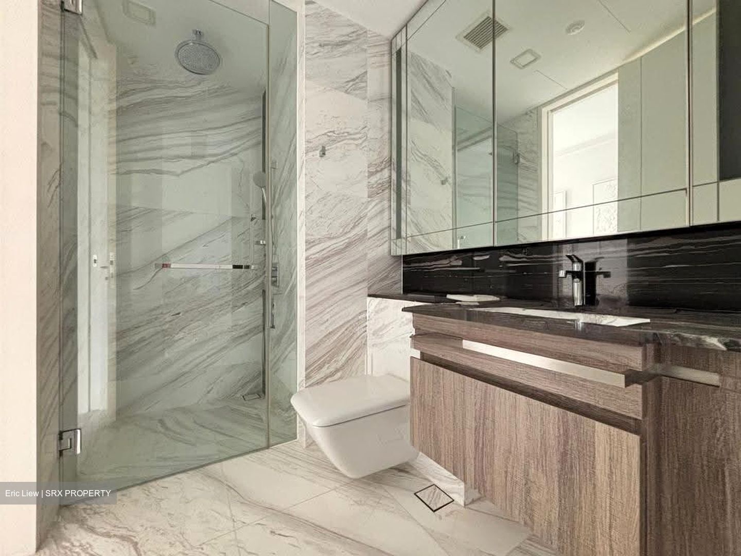 Wallich Residence  (D2), Condominium #611172781